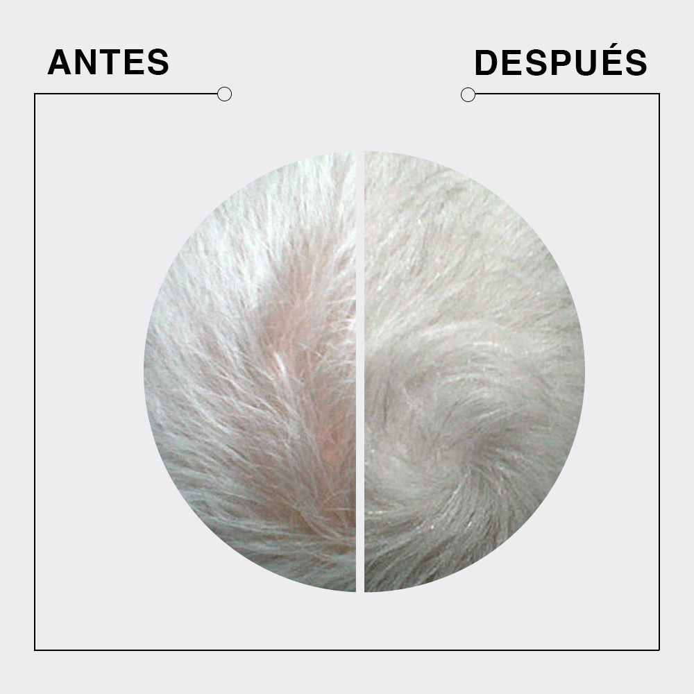 Fibras capilares de queratina