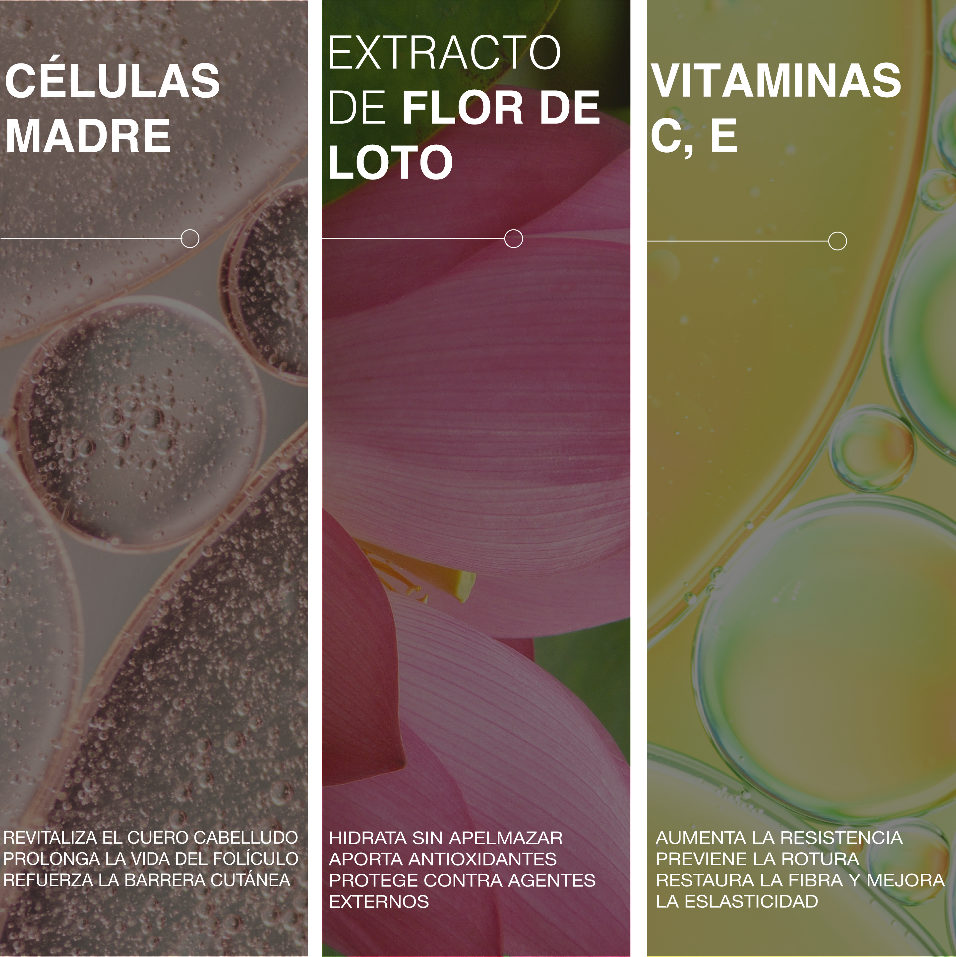 Stem cell shampoo
