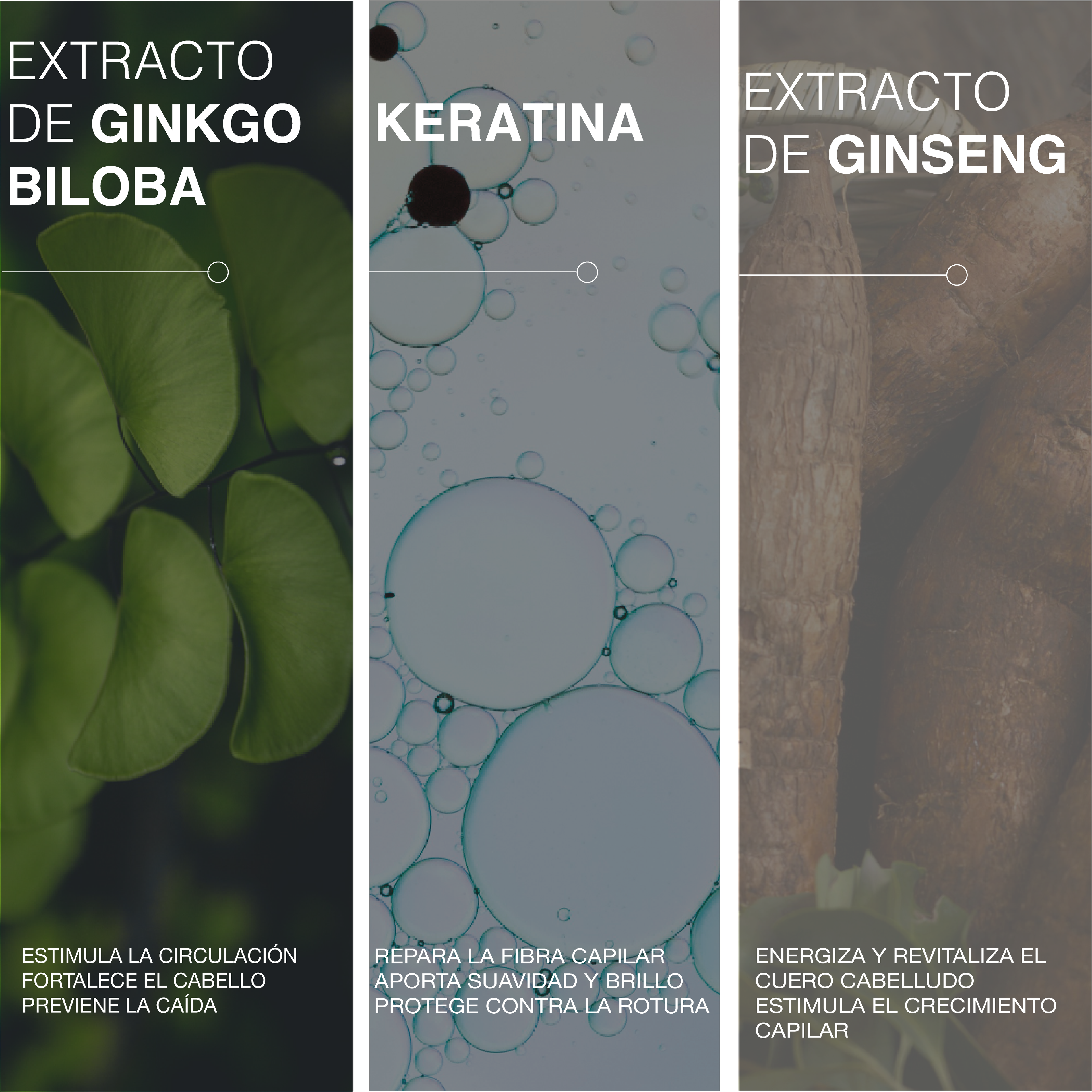 Champú multivitaminado