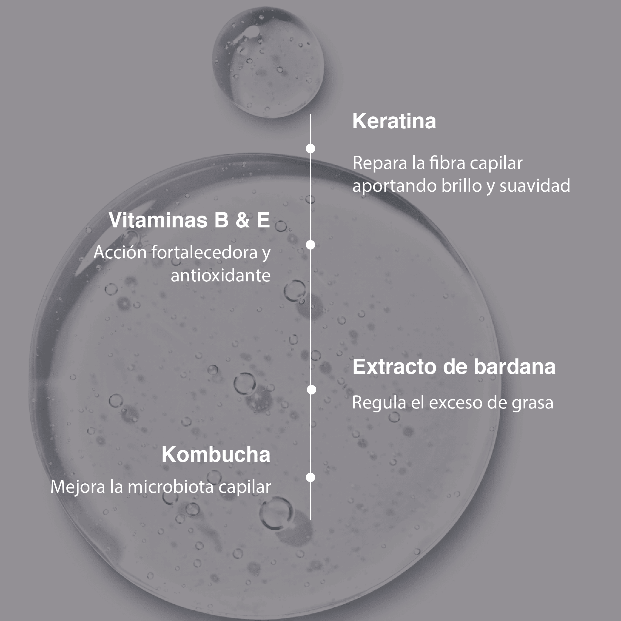 Fijador multivitaminado (100 ml)