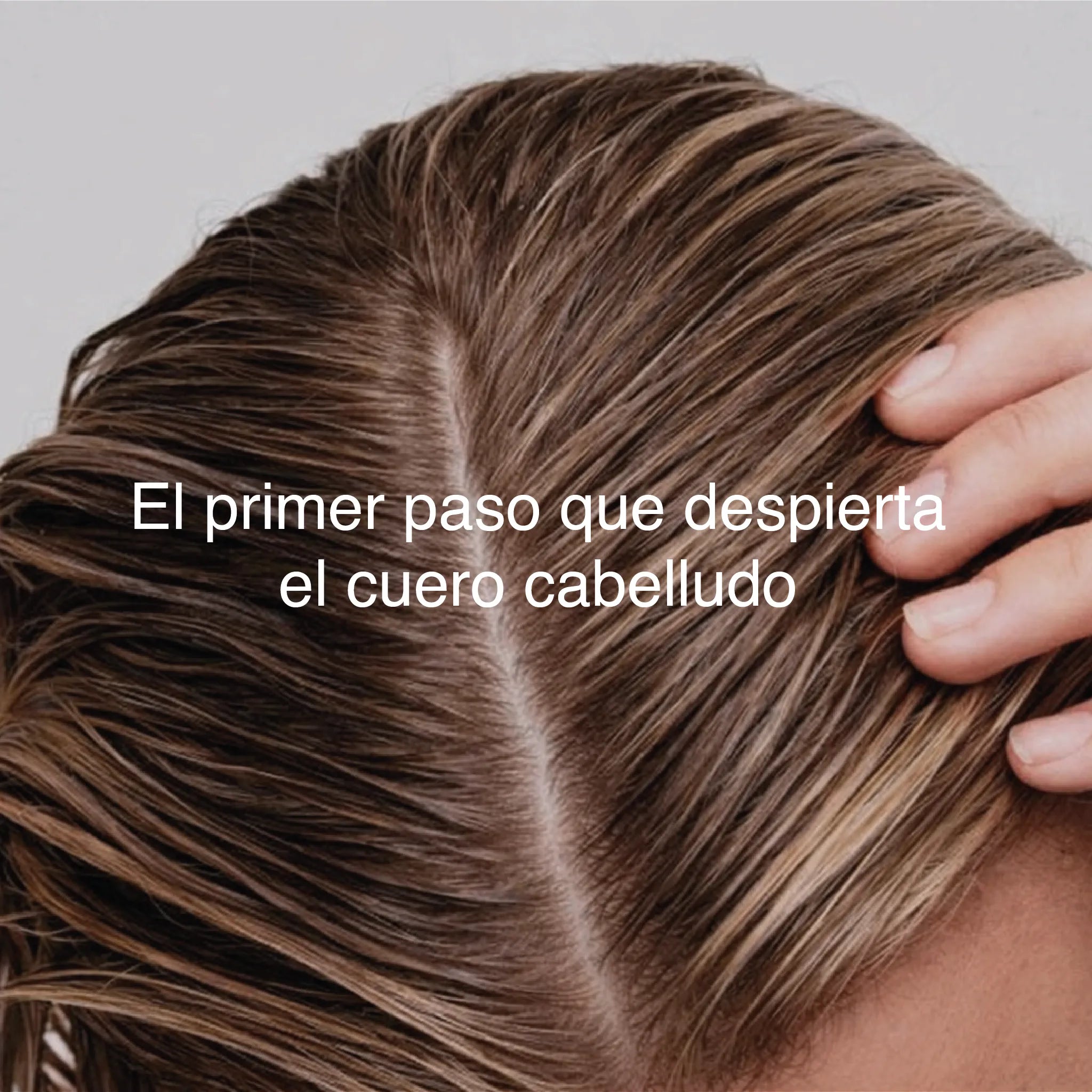 Rutina Limpieza Profunda