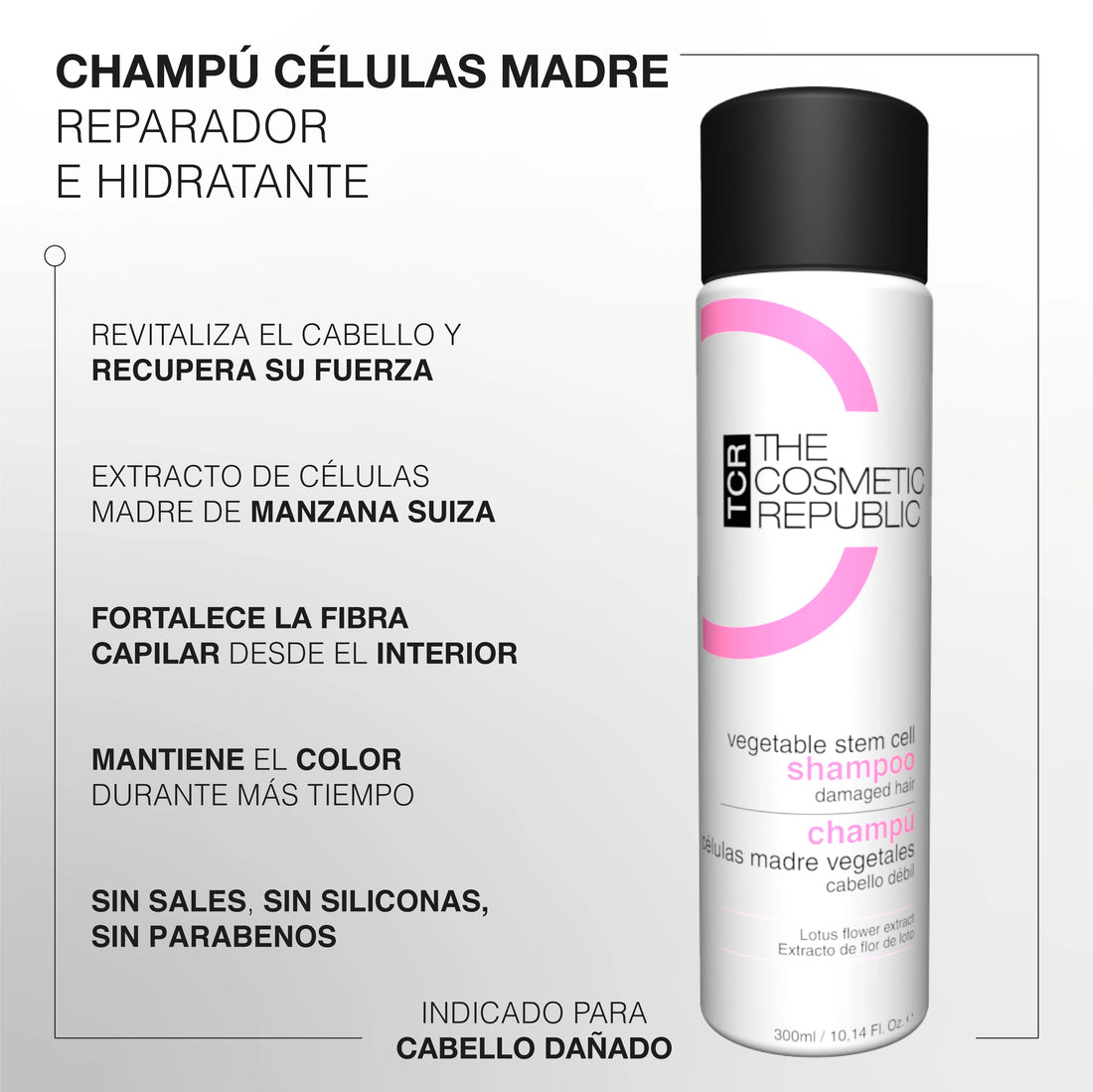 Rutina No más pelo seco