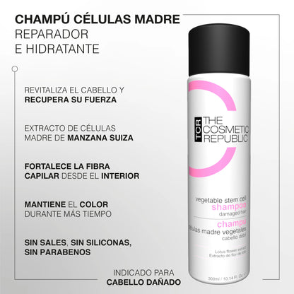 Rutina No más pelo seco