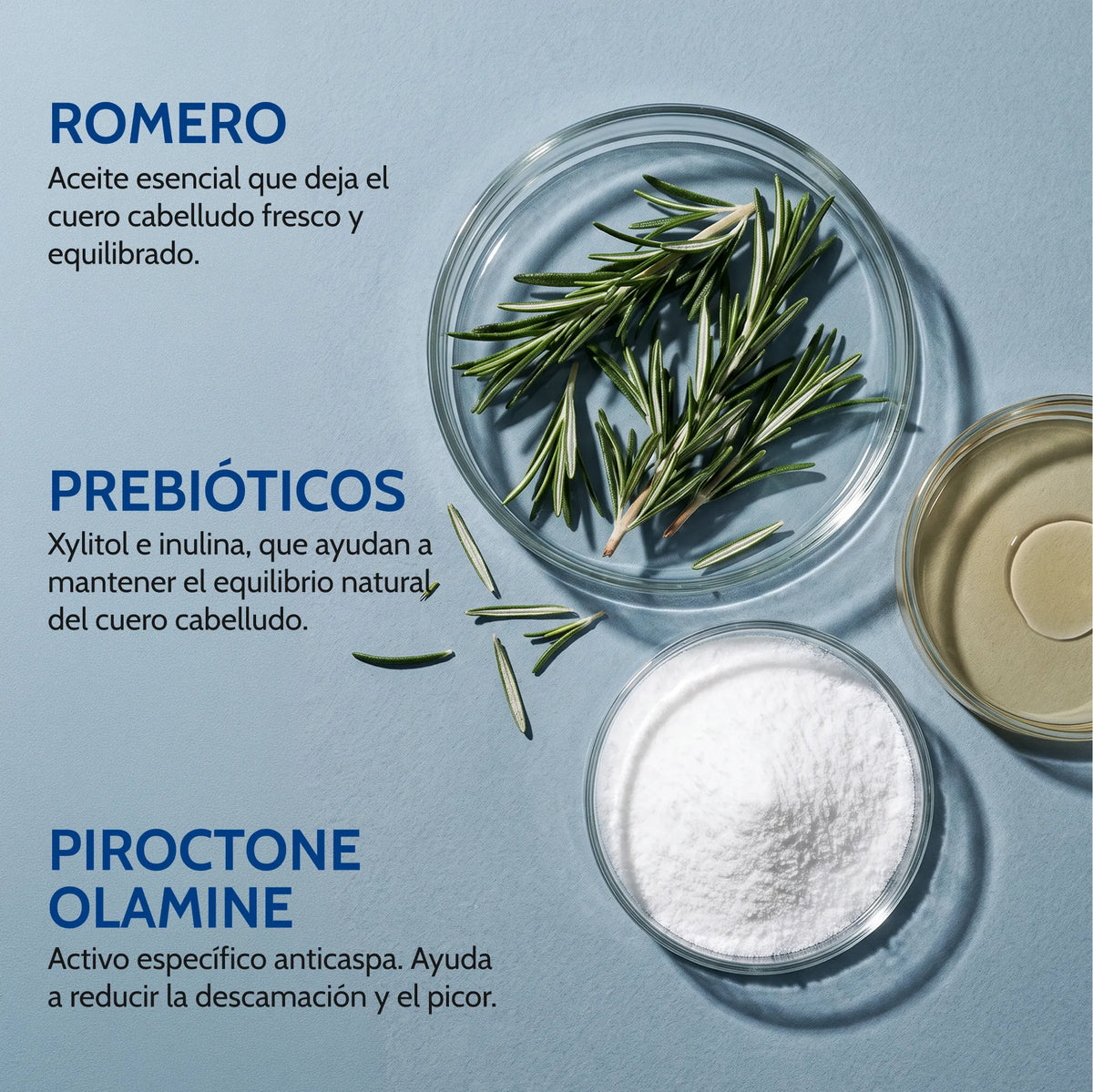 Champú Anticaspa