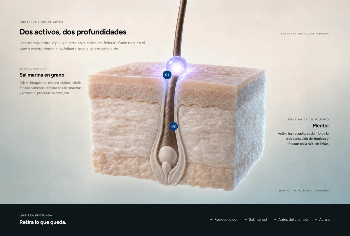 Qué lleva y dónde actúa · Pack détox