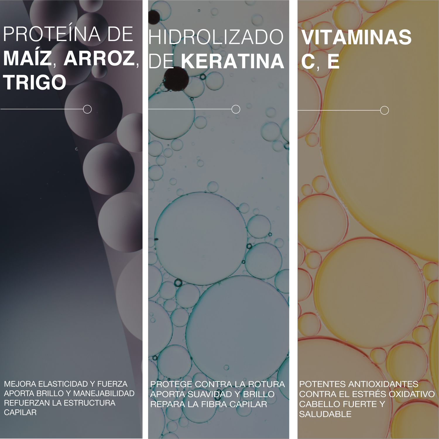 Mascarilla para cuero cabelludo – The Cosmetic Republic