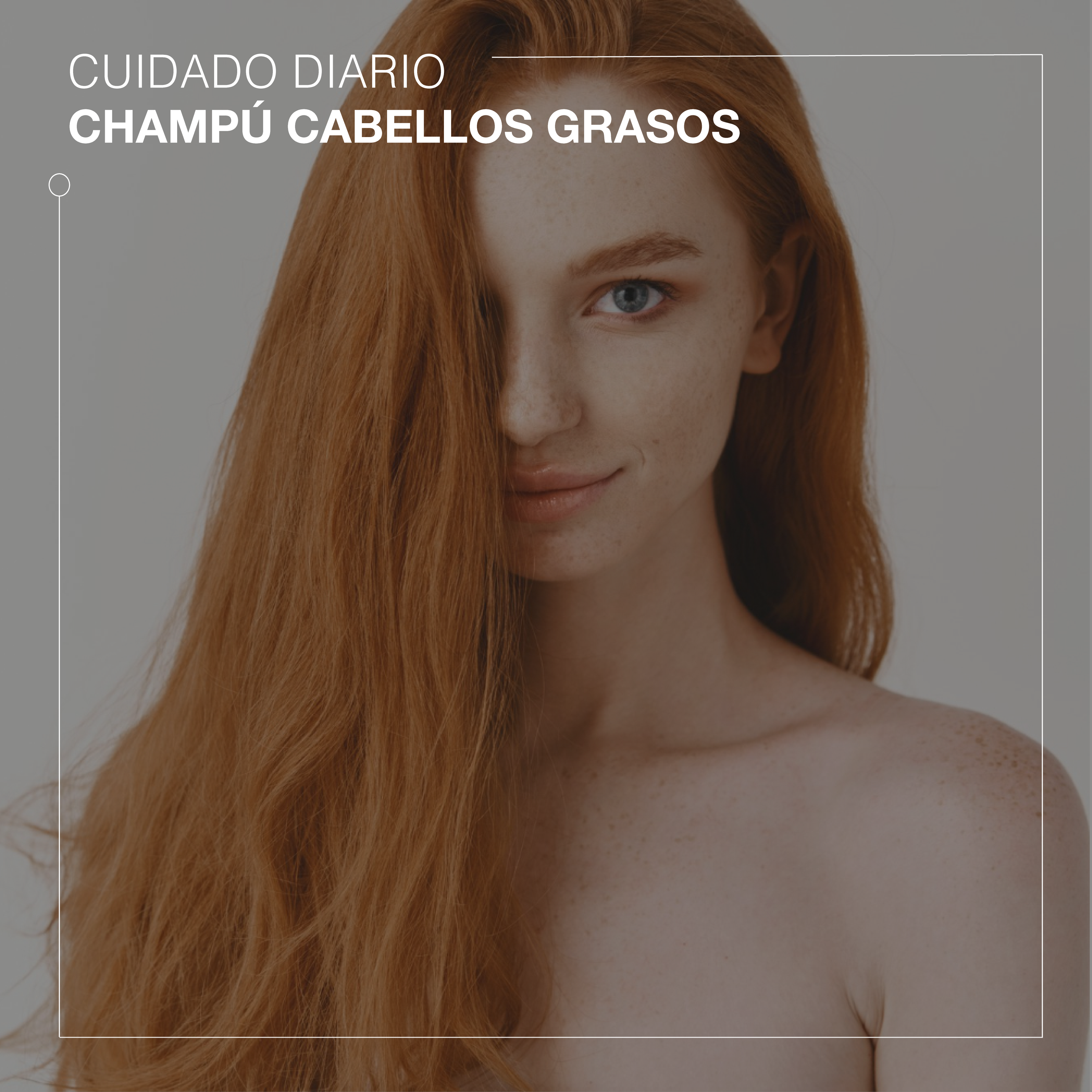 Oily hair shampoo