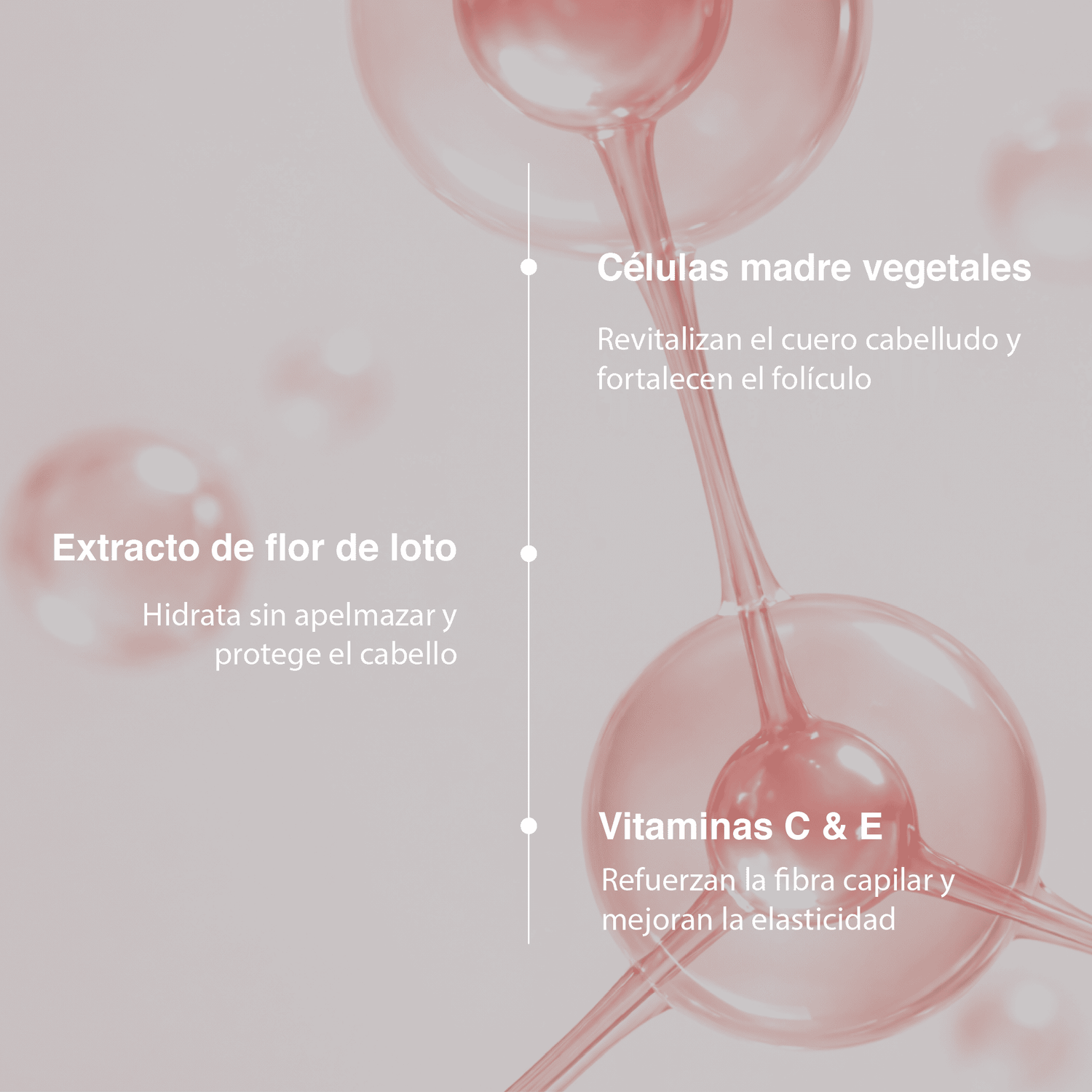 Rutina No más pelo seco