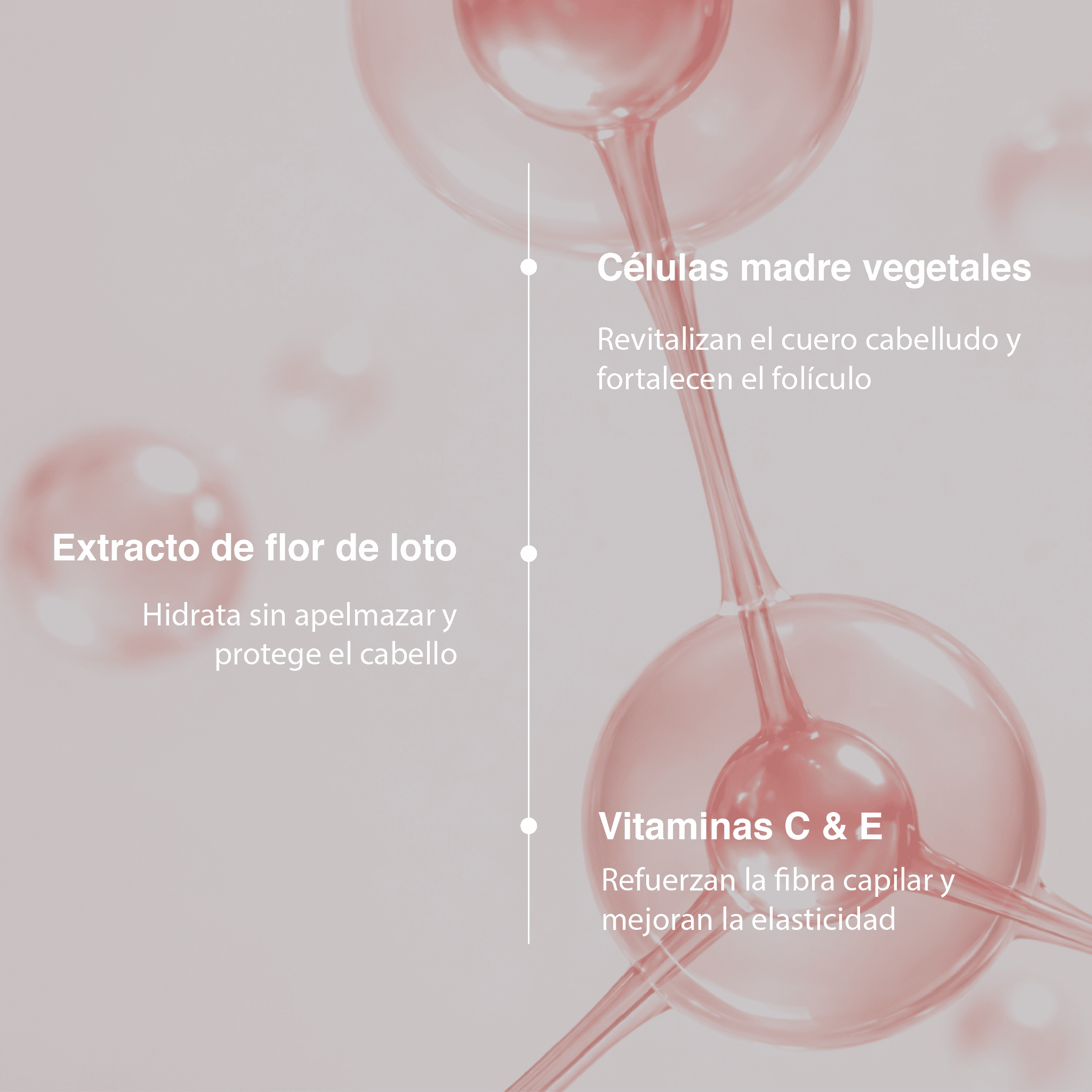 Rutina No más pelo seco