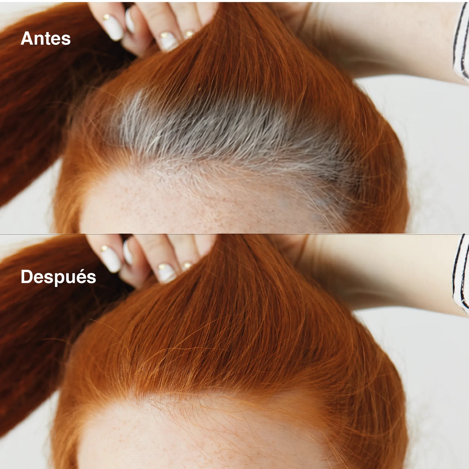 Cubre canas en spray (75ml caoba)