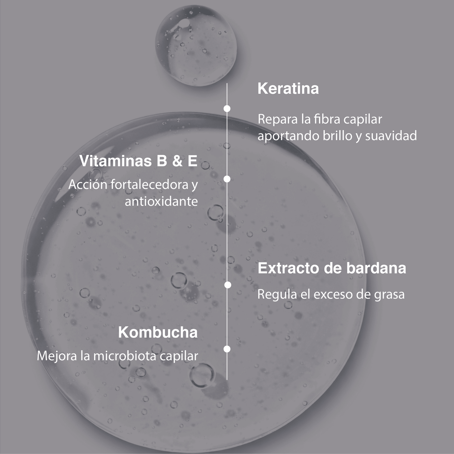 Fijador multivitaminado (100 ml)