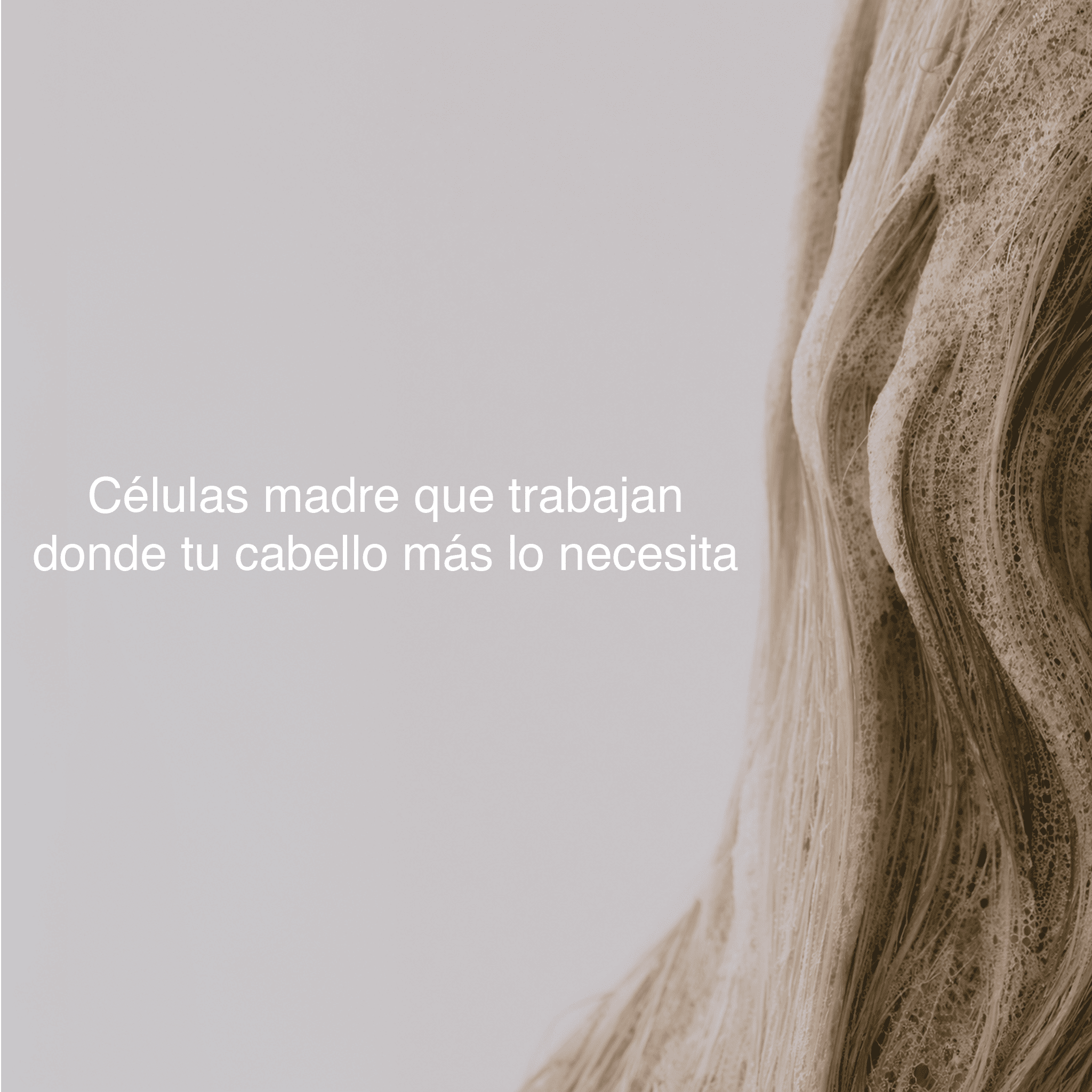 Rutina No más pelo seco