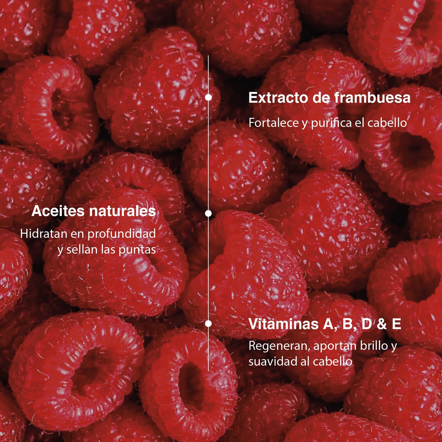 Rutina No más pelo seco