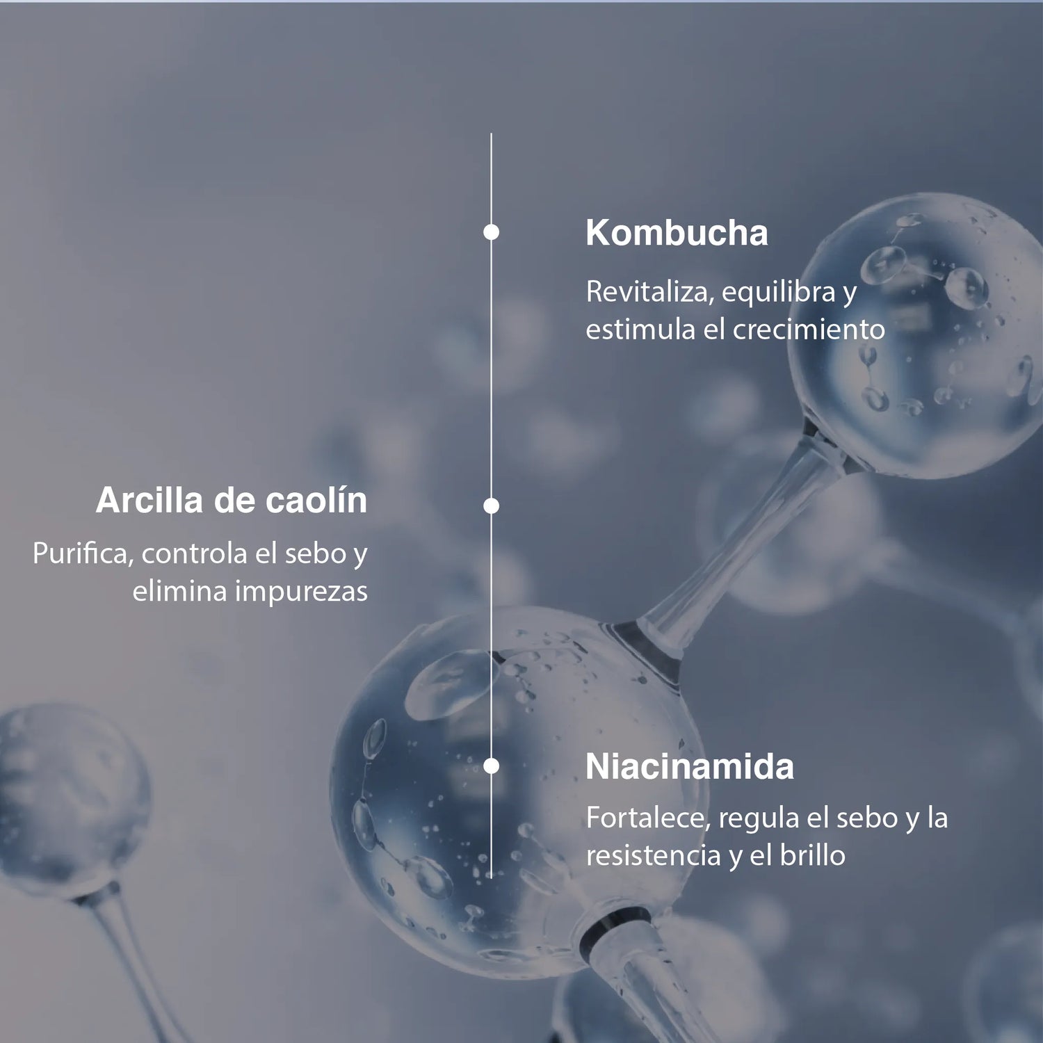 Espray control grasa (100 ml)