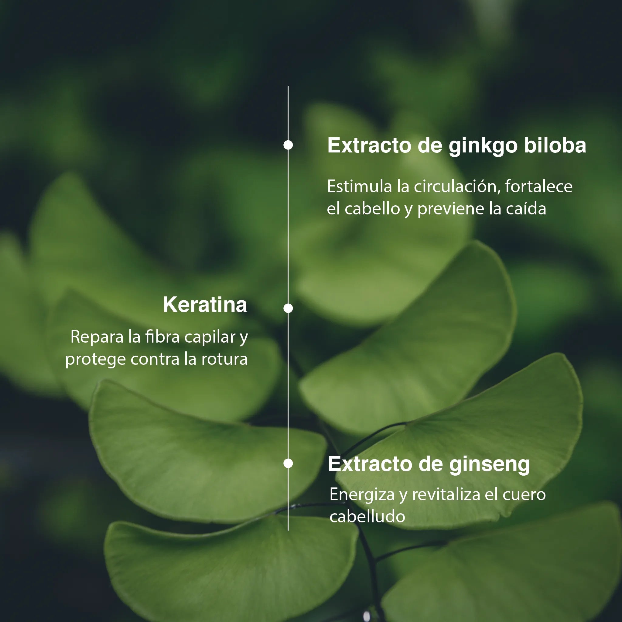 Pack de cuidado, volumen y anticaída capilar