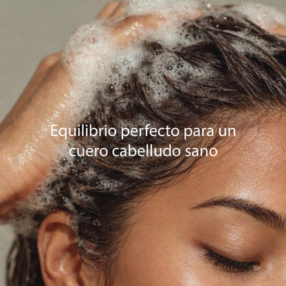 Champú cabello graso