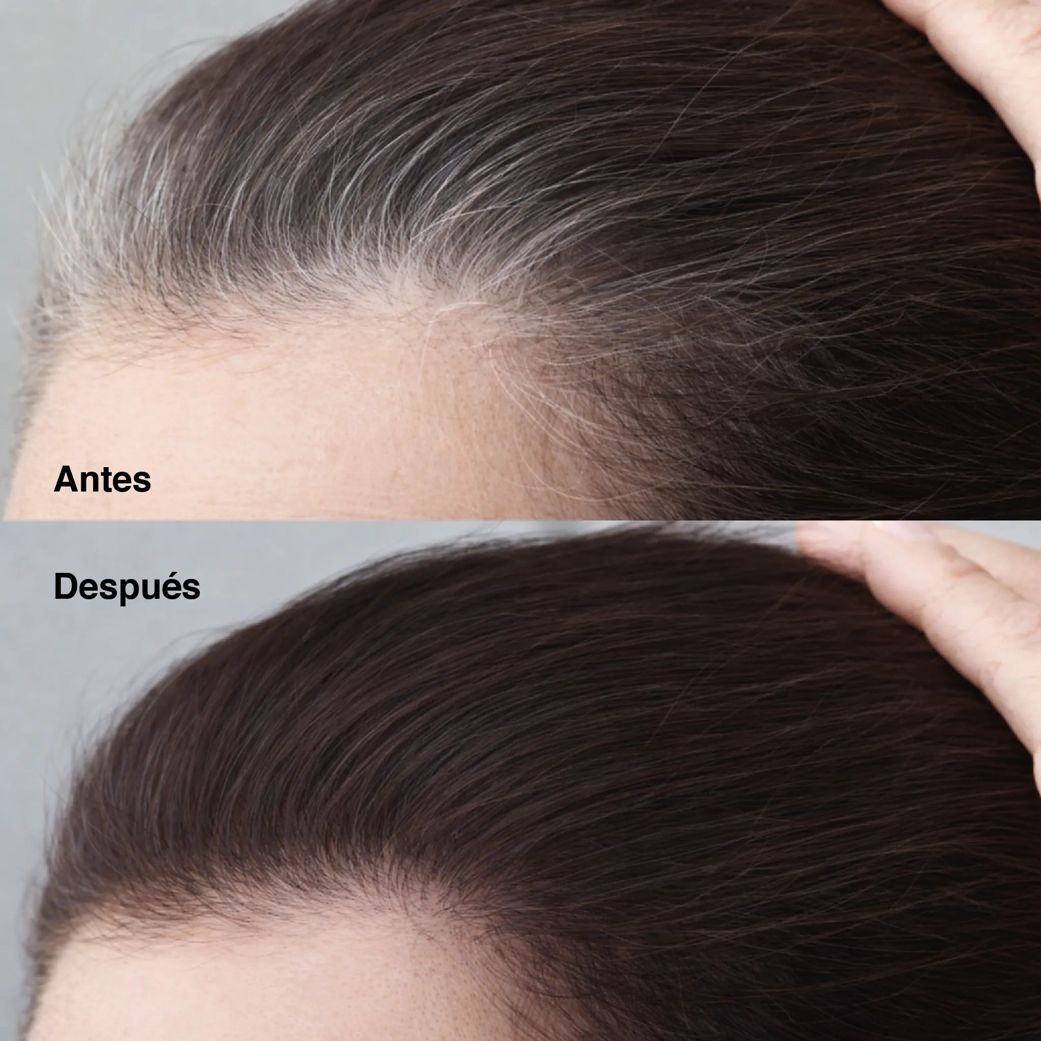 Cubre canas y raíces