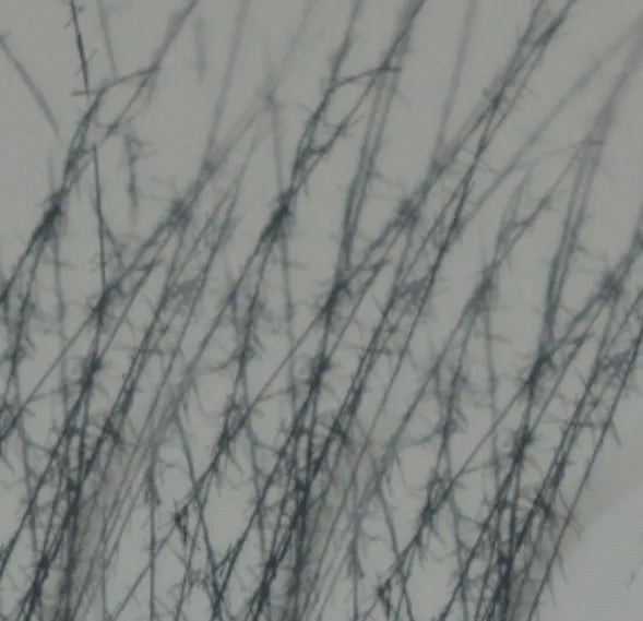 HOW HAIR FIBRES WORK